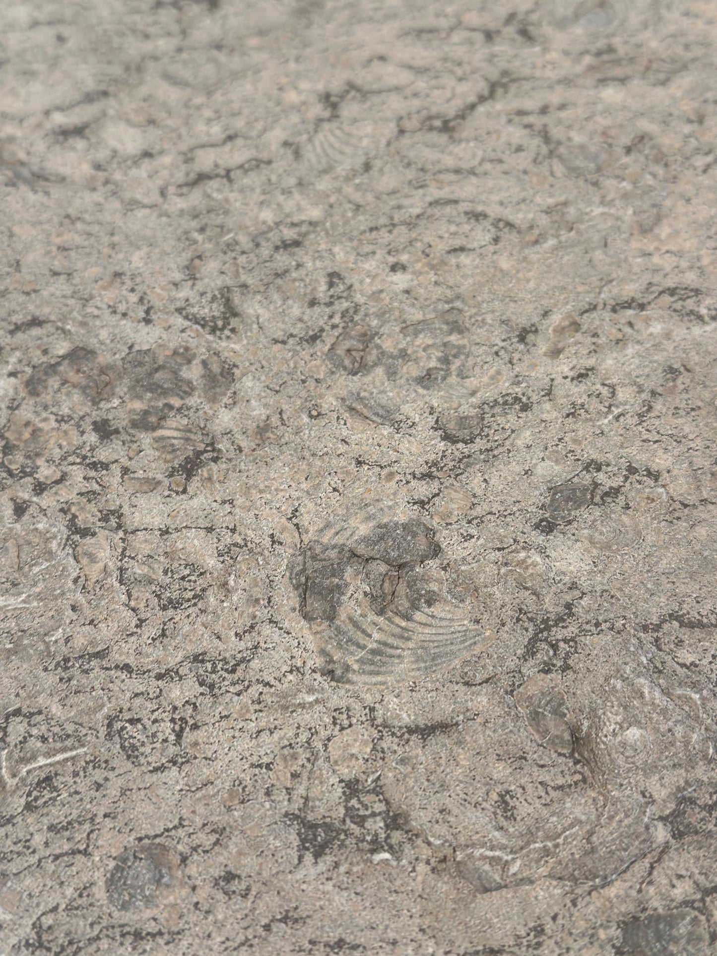 Brutalist Slate Coffee Table