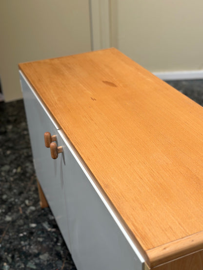 Pair of Vintage Pastoe Cabinets