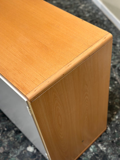 Pair of Vintage Pastoe Cabinets