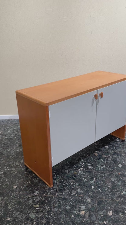 Pair of Vintage Pastoe Cabinets